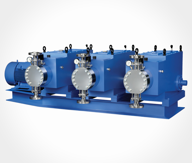 Multiplex Diaphragm Pump